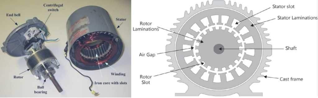 induction motor 