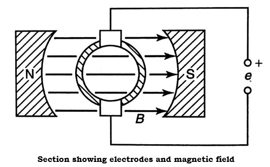 Section showing electrodes and magnetic field