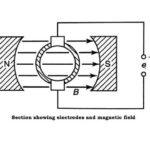 EMF-Figure-4