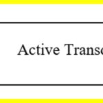 transducer-1